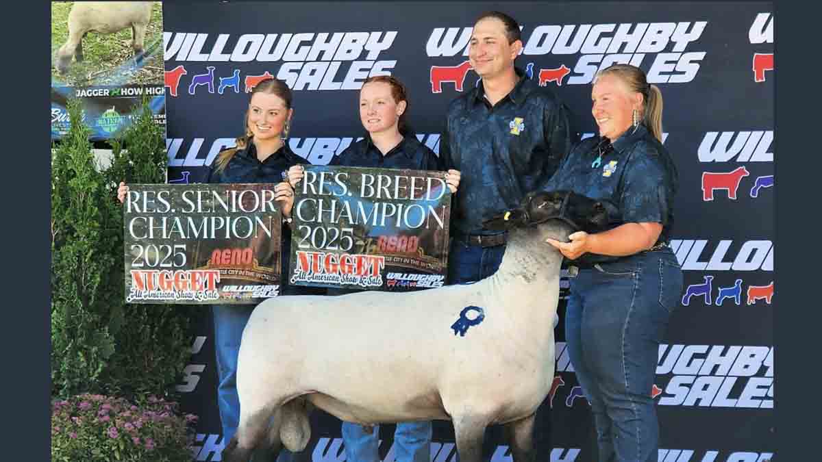 Students and manager secured a Reserve Champion Suffolk Ram.