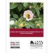 Bumble Bee Parasites and Conservation in the Pacific Northwest